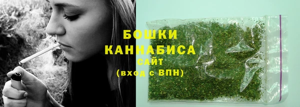 молекула духа Новокубанск