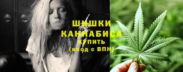 молекула духа Новокубанск