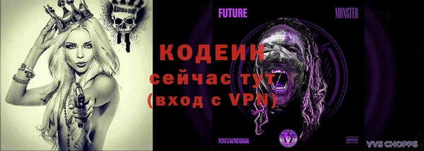 spice Новодвинск