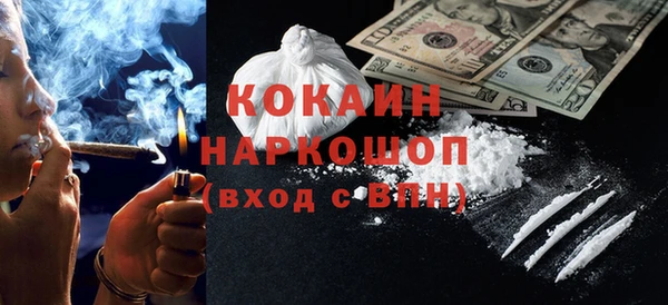 шишки Арсеньев