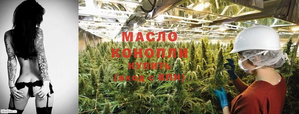 spice Новодвинск