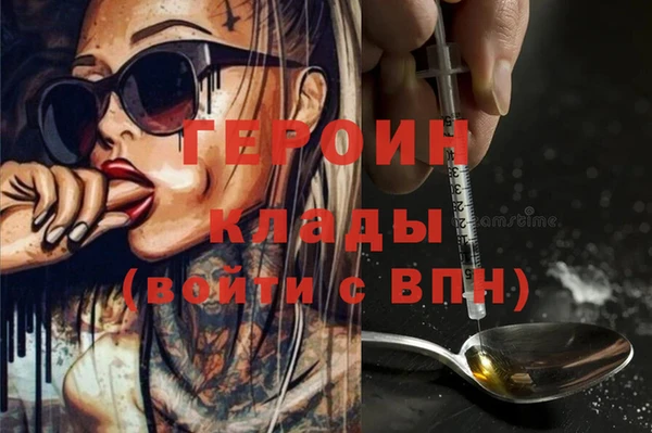 spice Дмитриев