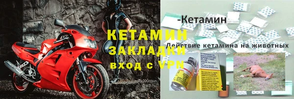 дживик Калининец