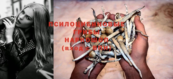 spice Новодвинск