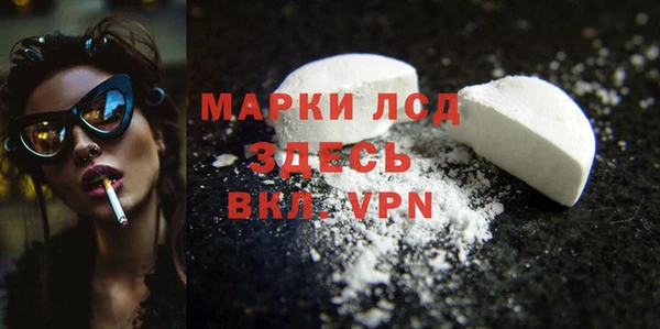 spice Новодвинск