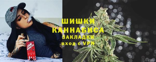 spice Новодвинск