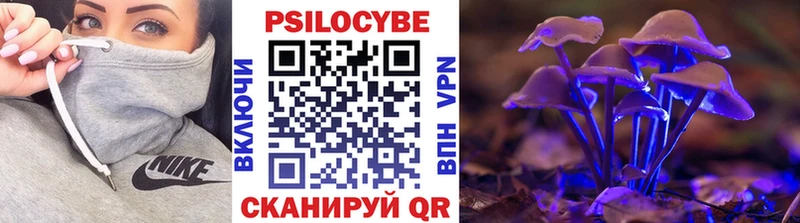 Псилоцибиновые грибы Cubensis  Абаза 